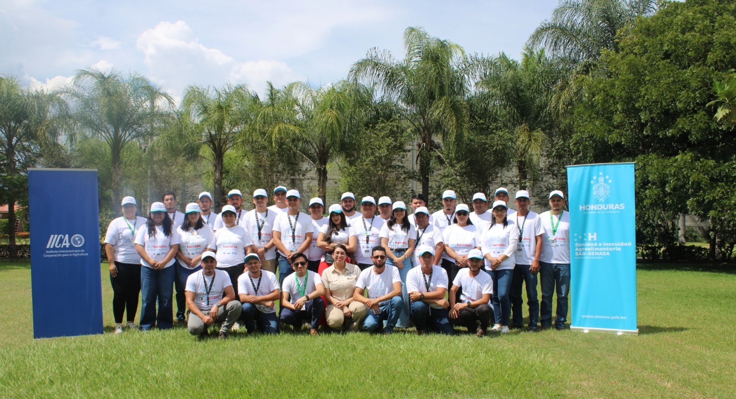 Finaliza con éxito en Comayagua el segundo taller de formadores en Gusano Barrenador del Ganado